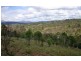 89 MERTON CL, Kooralbyn QLD 4285