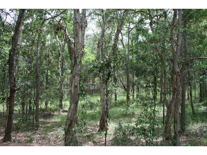 Tamborine QLD 4270