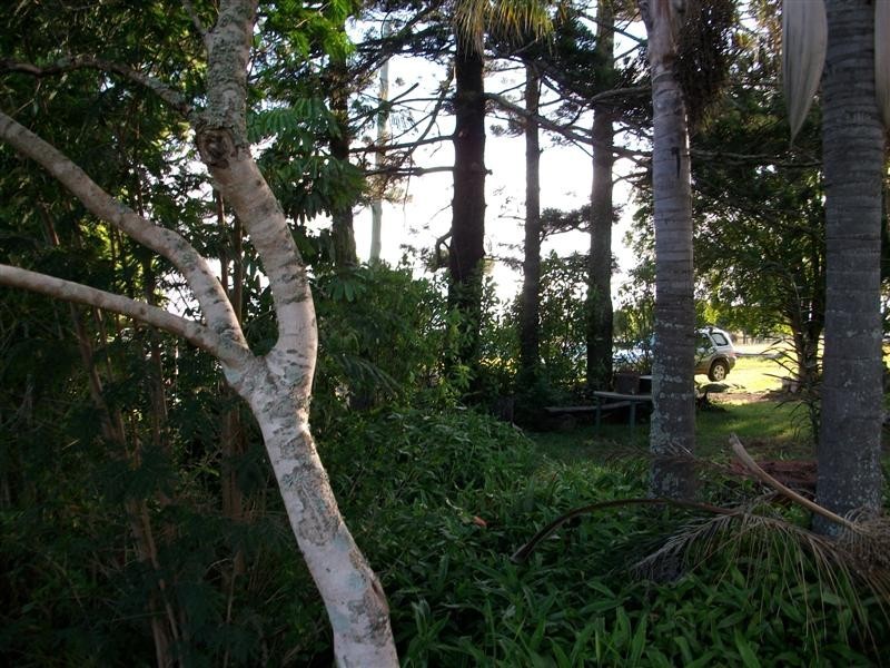 Veresdale Scrub QLD 4285