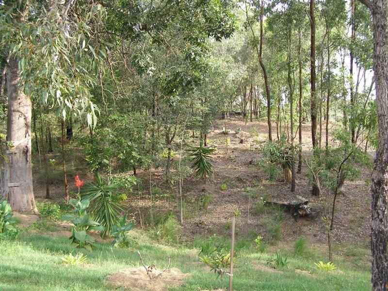 Cedar Vale QLD 4285