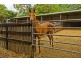 Beaudesert QLD 4285