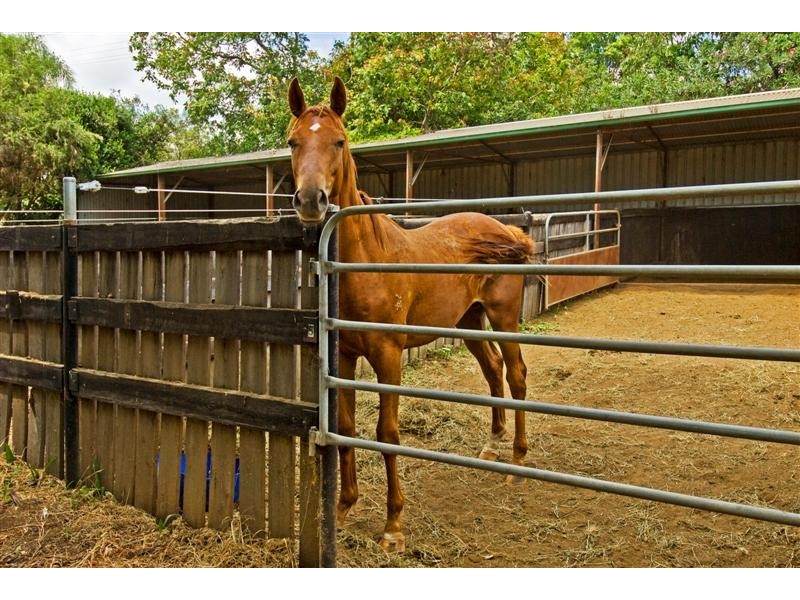 Beaudesert QLD 4285
