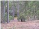 Cedar Vale QLD 4285