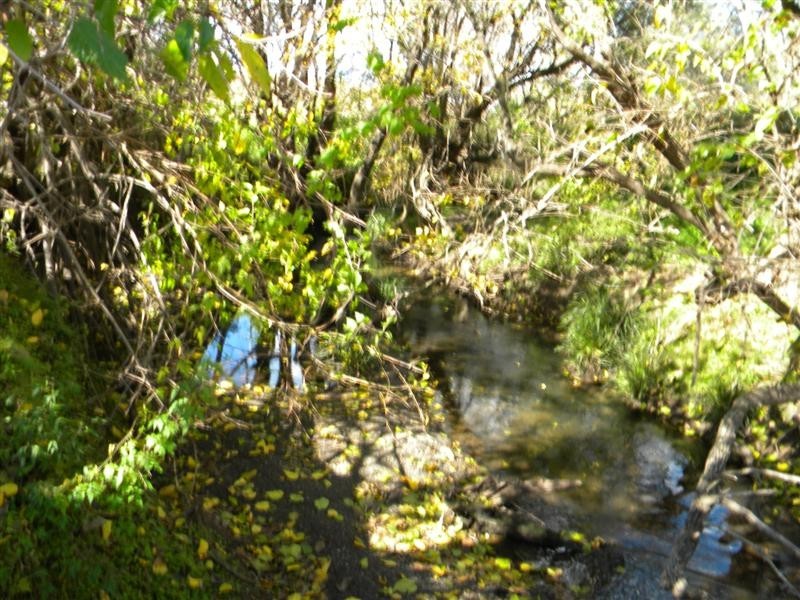 Christmas Creek QLD 4285