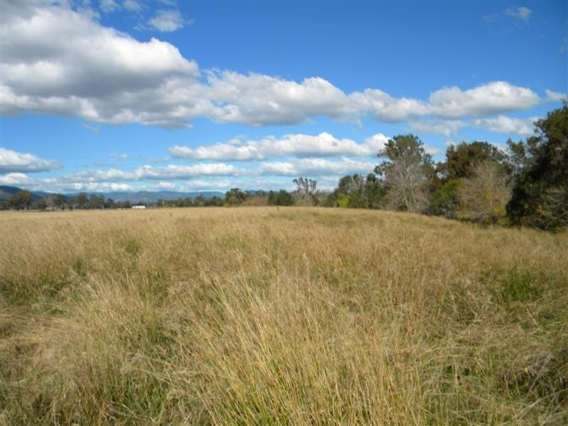 Christmas Creek QLD 4285