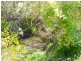 Christmas Creek QLD 4285