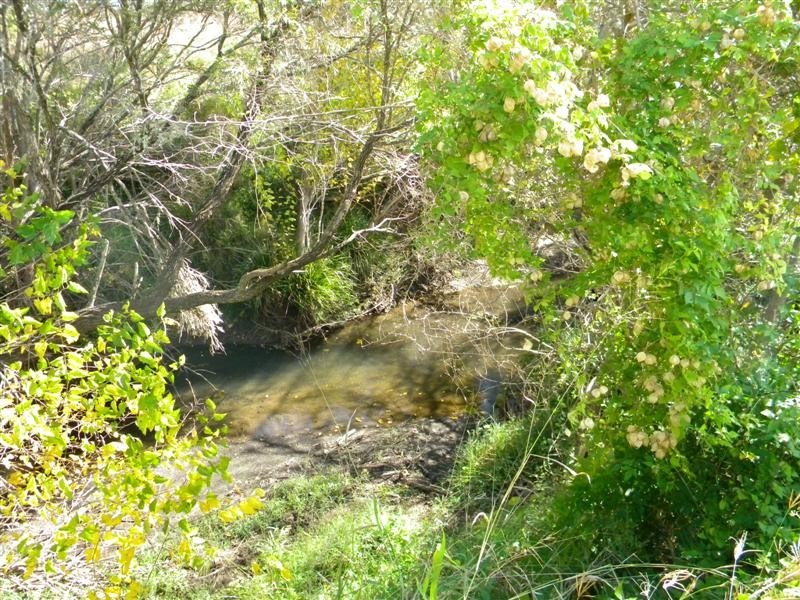 Christmas Creek QLD 4285