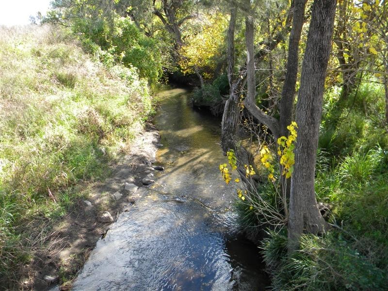 Christmas Creek QLD 4285