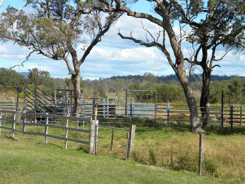 Christmas Creek QLD 4285