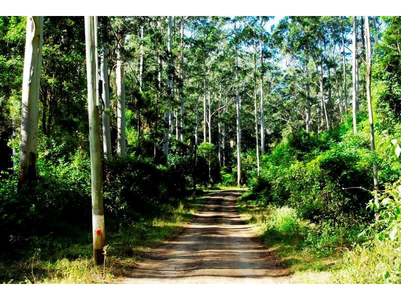 Lamington QLD 4285