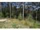 Cedar Vale QLD 4285