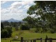 Veresdale Scrub QLD 4285