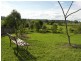 Veresdale Scrub QLD 4285