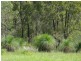 Kooralbyn QLD 4285