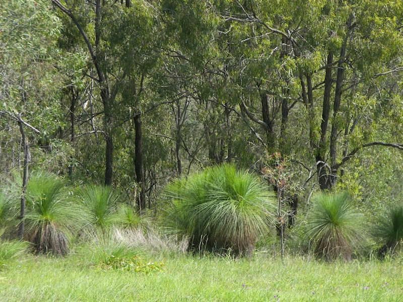 Kooralbyn QLD 4285
