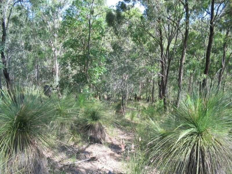 Kooralbyn QLD 4285