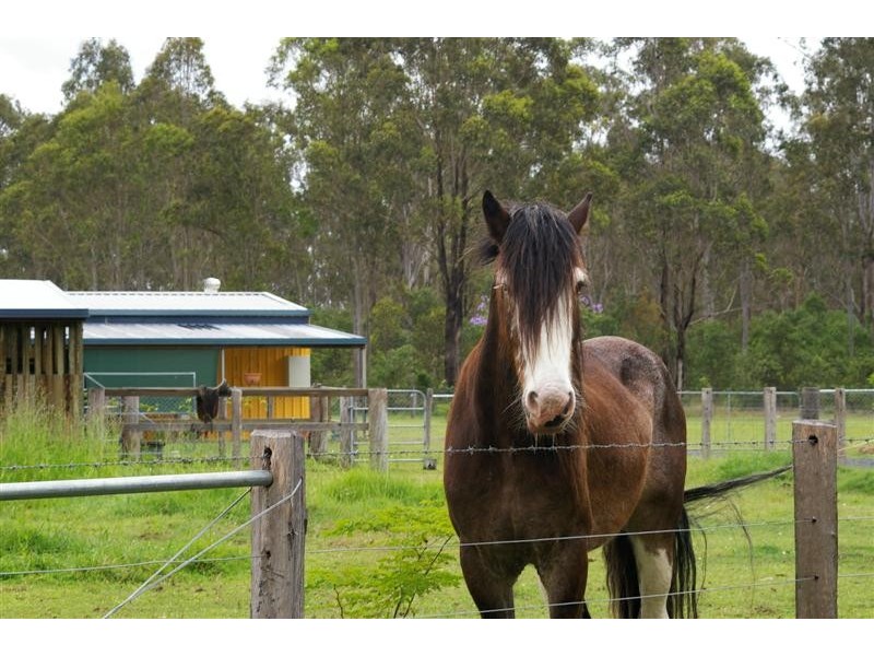 North Maclean QLD 4280