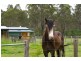 North Maclean QLD 4280