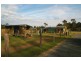 North Maclean QLD 4280