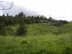 Beaudesert QLD 4285