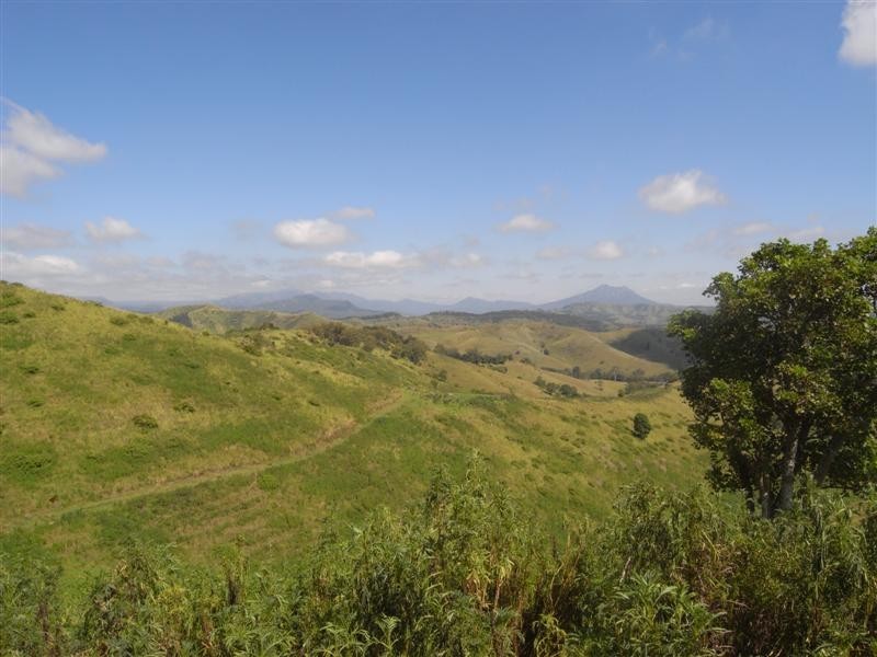 Running Creek QLD 4287
