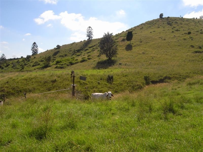Running Creek QLD 4287