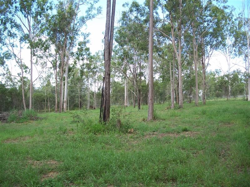 Jimboomba QLD 4280