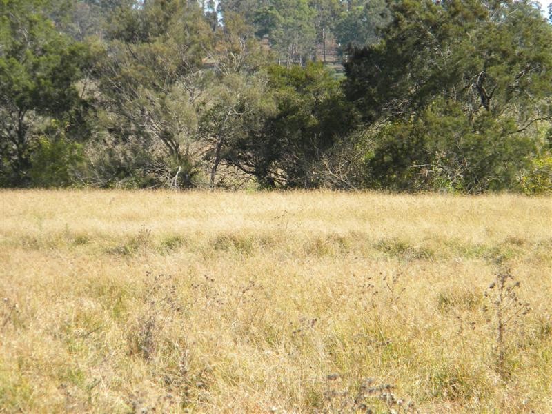 Christmas Creek QLD 4285