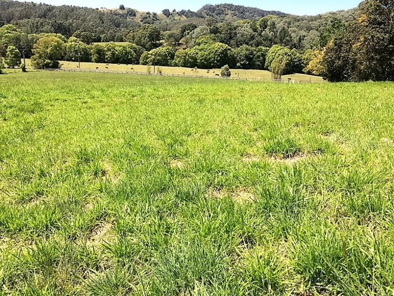 1073 Pomona Kin Kin Road, Kin Kin QLD 4571