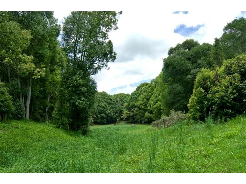 242 Uhlmanns Road, Federal QLD 4568