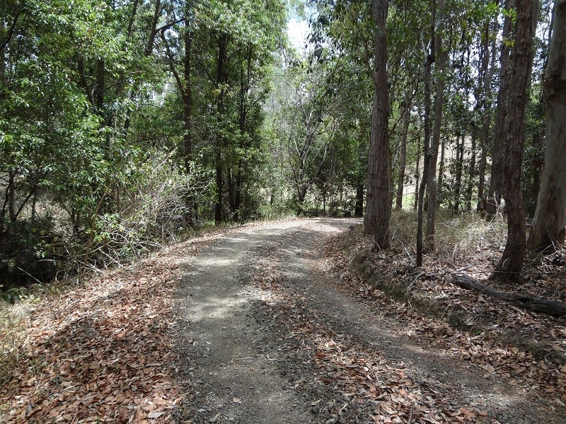 Mothar Mountain QLD 4570