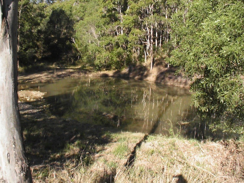 Mothar Mountain QLD 4570