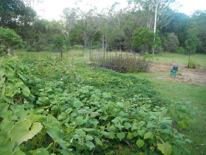 Mothar Mountain QLD 4570