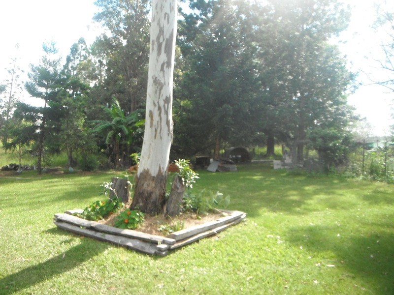 Mothar Mountain QLD 4570