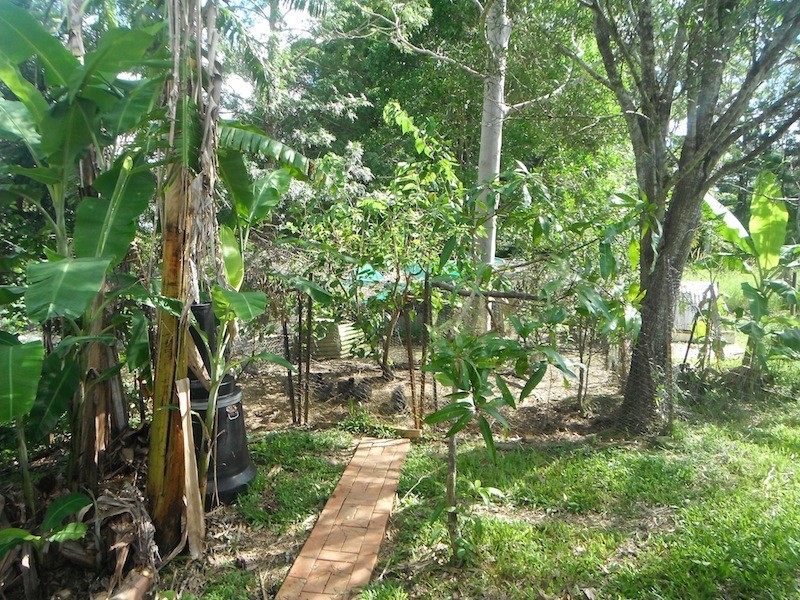 Mothar Mountain QLD 4570