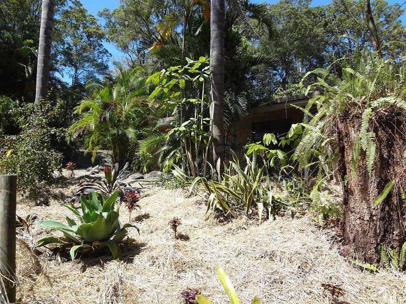 3 Albert Street, Cooran QLD 4569