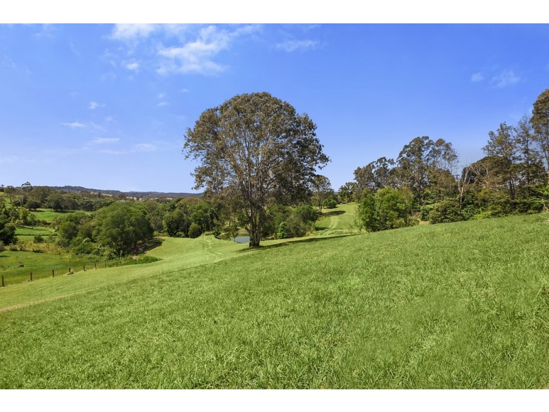 22 Gilliland Road, Carters Ridge QLD 4563