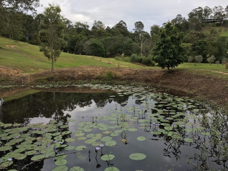 22 Gilliland Road, Carters Ridge QLD 4563