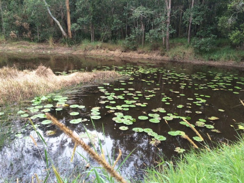 829 Traveston Cooran Road, Cooran QLD 4569