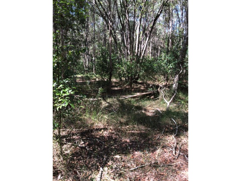 889 Traveston Cooran Road, Cooran QLD 4569