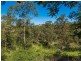 195 Top Forestry Road, Ridgewood QLD 4563