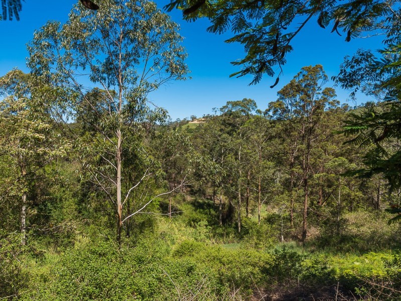 195 Top Forestry Road, Ridgewood QLD 4563