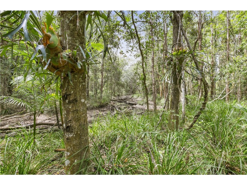 345 Louis Bazzo Drive, Pomona QLD 4568