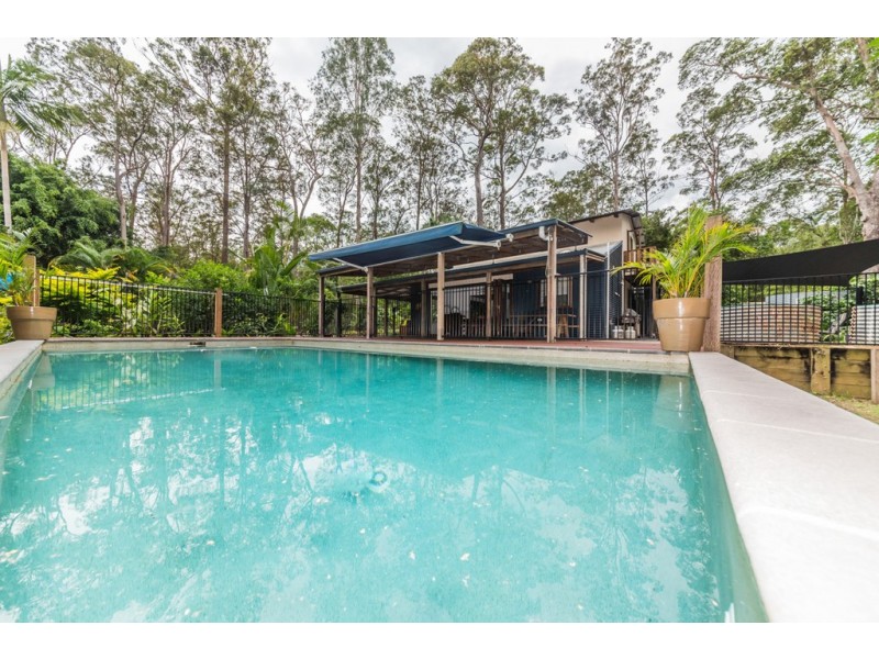 31 Ponderosa Drive, Cooroy QLD 4563