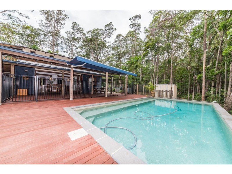 31 Ponderosa Drive, Cooroy QLD 4563