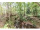 31 Ponderosa Drive, Cooroy QLD 4563