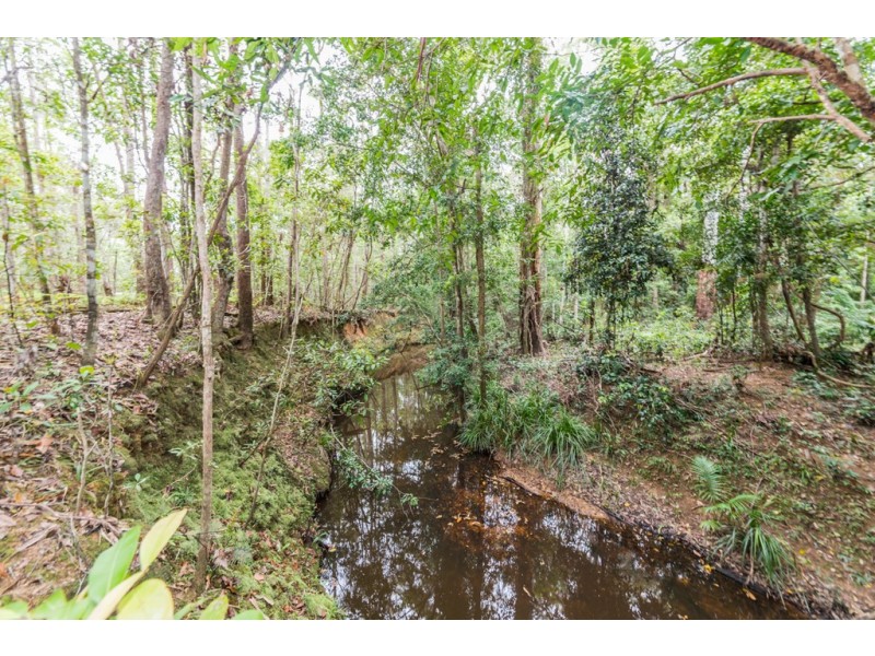 31 Ponderosa Drive, Cooroy QLD 4563