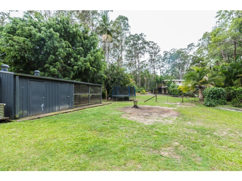 31 Ponderosa Drive, Cooroy QLD 4563