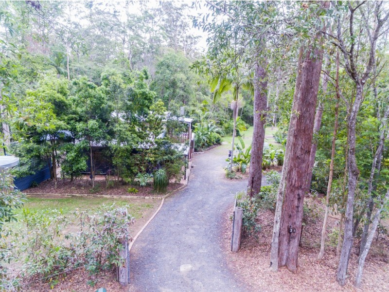 31 Ponderosa Drive, Cooroy QLD 4563