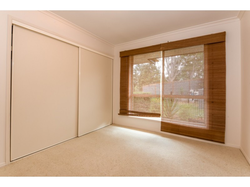 17 Watergum Place, Black Mountain QLD 4563